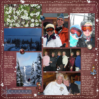 Week 6: February 5 — February 11, 2010