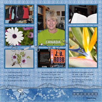 Week 8: February 19—25, 2010