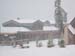 BWwinters056