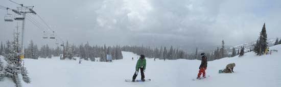 BigWhitePanaramaSnowing