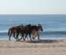 Cabo-090