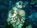 2009.11.03 SnorkelFB-27