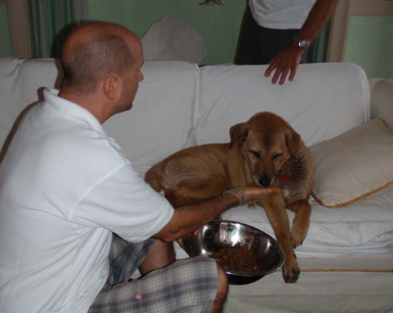 Hawaii2008-AnnJim-002