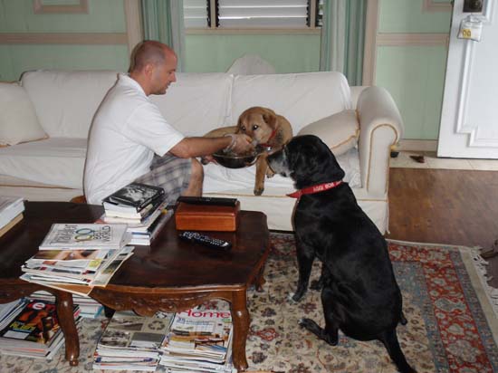 Hawaii2008-AnnJim-003