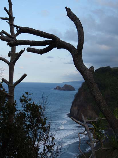 Hawaii2008-NorthKona-005