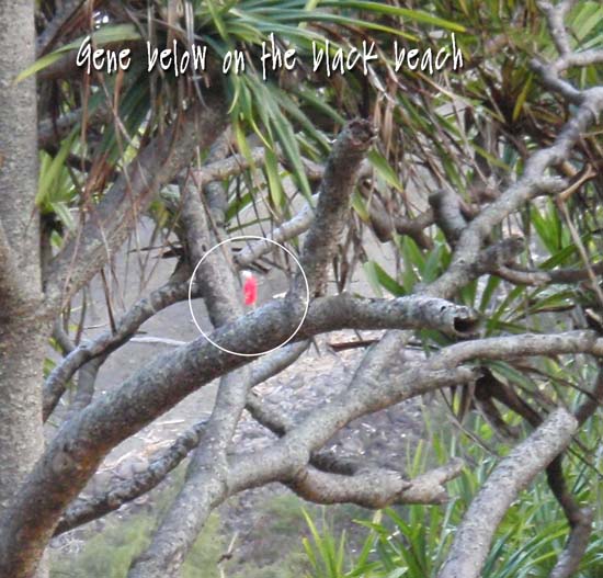 Hawaii2008-NorthKona-007