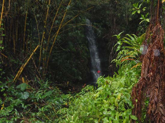 Hawaii2008-NorthKona-012