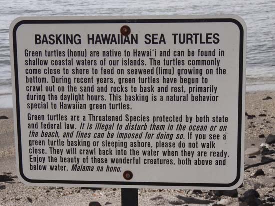 Hawaii2008-Refuge-006