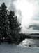 Yellowstone