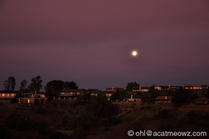 ../images/2010.01.02%200639a%20SanDiego.jpg