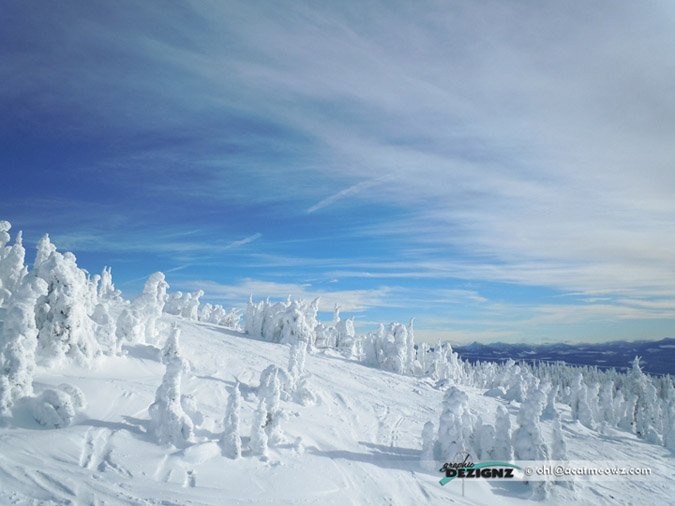2010.12.17-1120-BigWhite