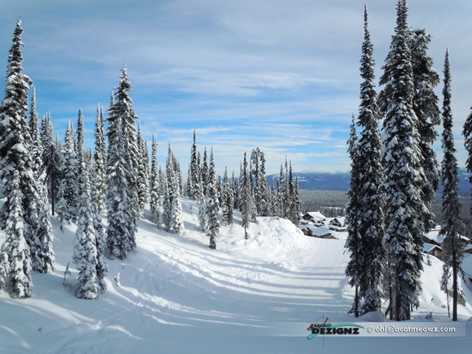 2010.12.17-1149-BigWhite