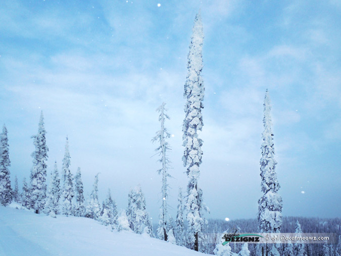 2010.12.19-0934-BigWhite