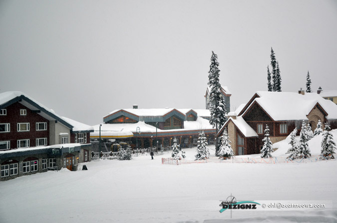 2010.12.20-0844-BigWhite