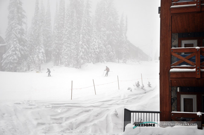 2010.12.21-1026-BigWhite