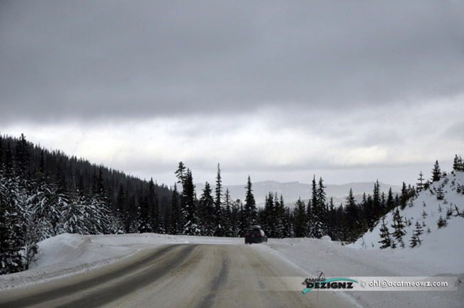 2010.12.21-1118-BigWhiteRd