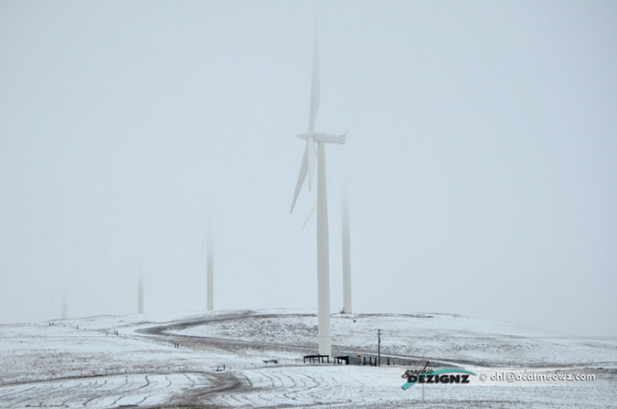 2010.12.22-1123-windmillsWA