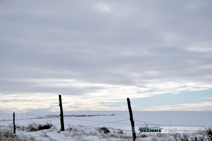 2010.12.22-1229-Wasco