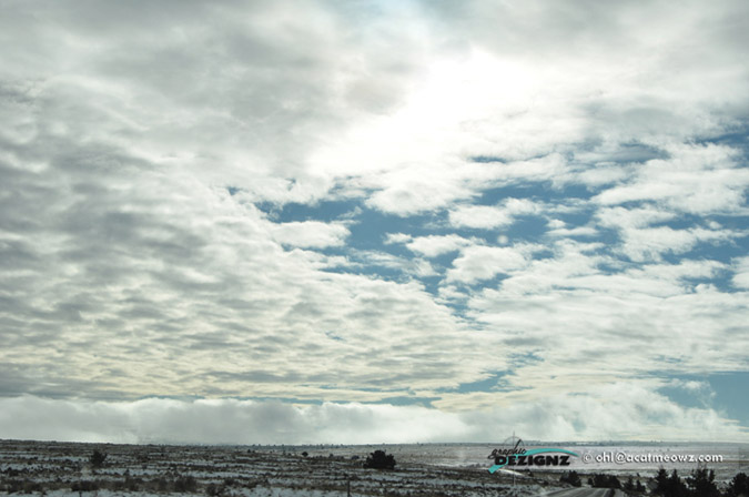 2010.12.22-1238-GreenValley