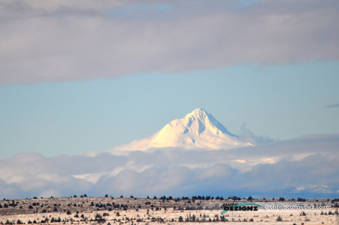 2010.12.22-1253-MtHood