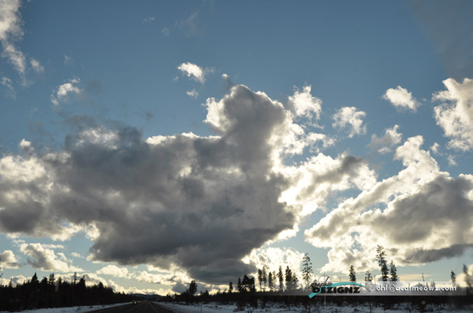 2010.12.22-1511-LaPine