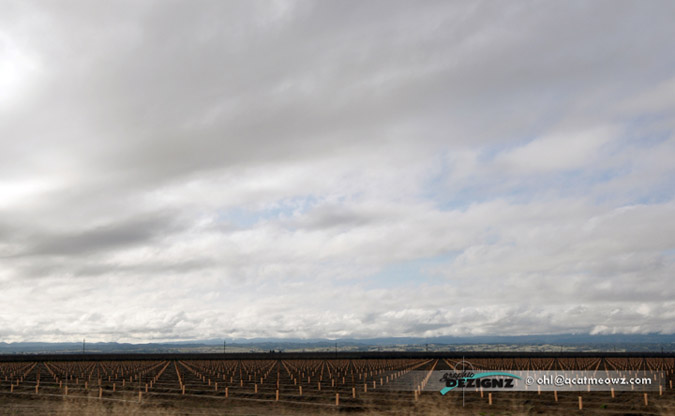 2010.12.23-1125-NofSac