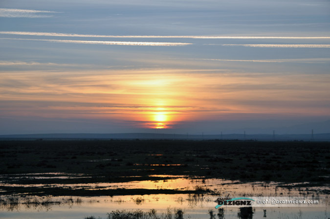 2010.12.23-1642-California