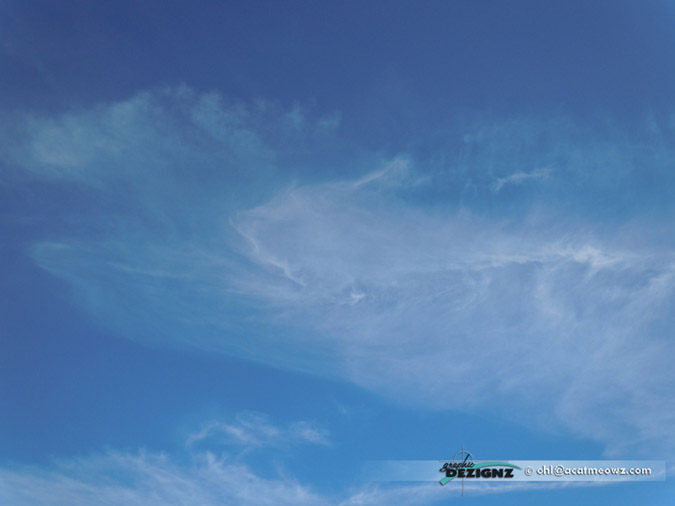 2010.12.24-0841-Torrance