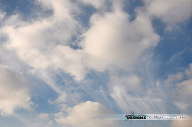 2010.12.25-1328-Hawthorne