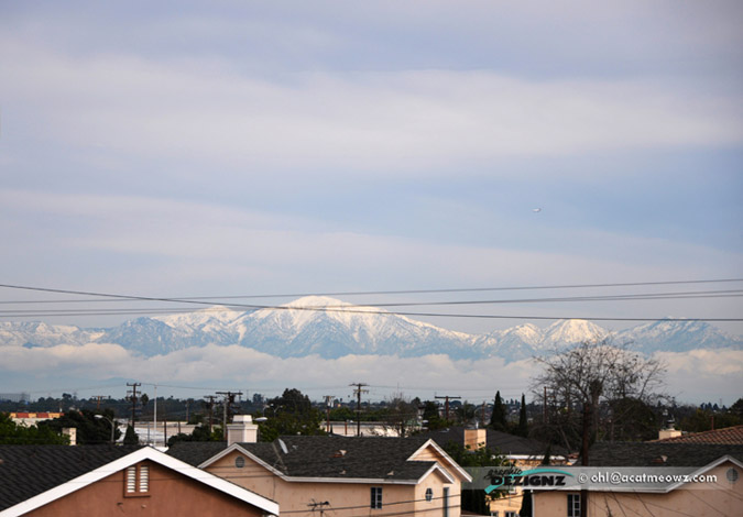 2010.12.26-1231-SouthBay