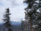 Keystone 2009