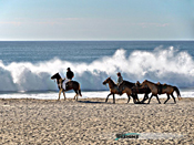 Cabo, Mexico 2010