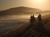 Cabo San Jose 2008
