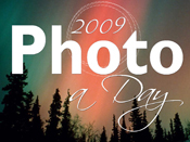 Project 365 - Photo a Day